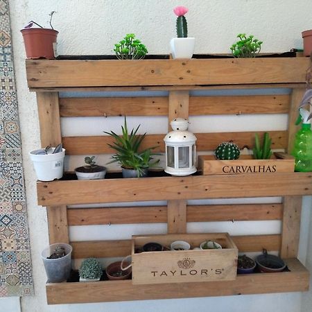 Santa Catarina Patio Apartment - With Washer Machine Порто Екстериор снимка