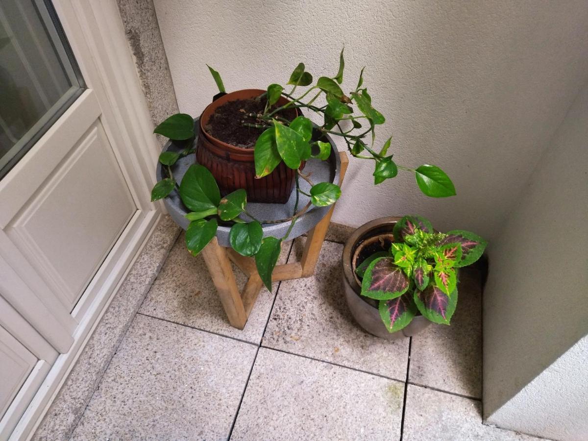 Santa Catarina Patio Apartment - With Washer Machine Порто Екстериор снимка